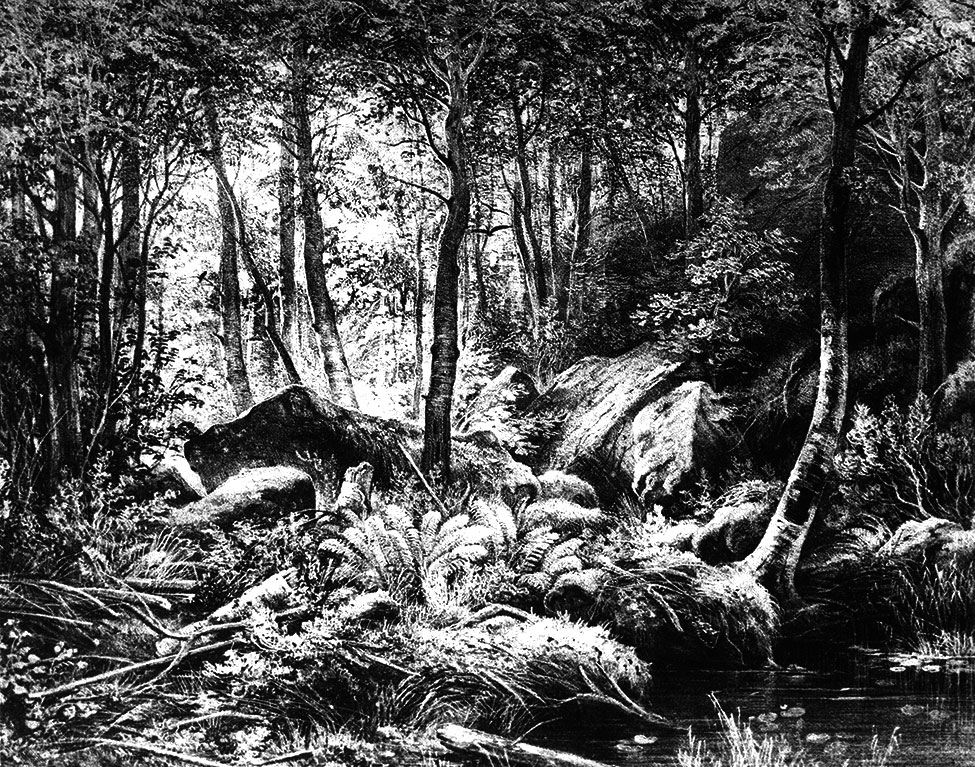 И. И. Шишкин. Трущоба (Вид на острове Валааме). 1860. Литография. 20,9x26,3. ГРМ
