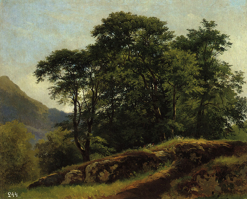 И. И. Шишкин. Буковый лес в Швейцарии. 1863. X., м. 51х61,5. ГРМ
