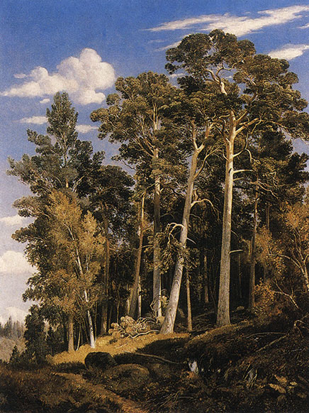 И. И. Шишкин. Сосновый лес. 1866. X., м. 91x70. Местонахождение неизвестно