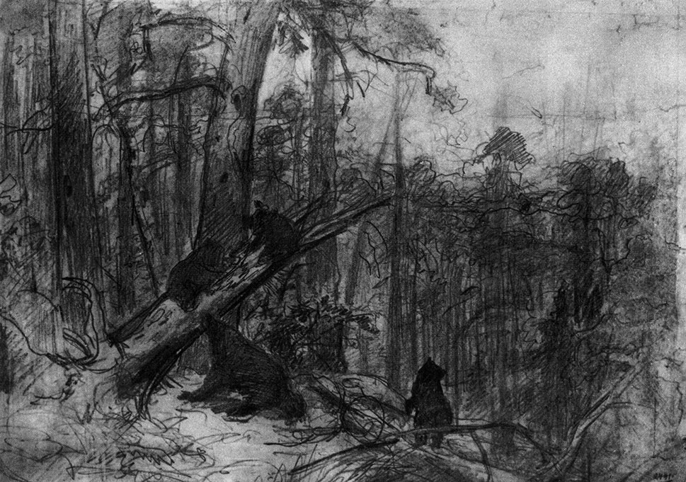 И. И. Шишкин. Утро в сосновом лесу. Эскиз картины 1889 г. Б., граф. кар. 23,2x33,5. ГРМ