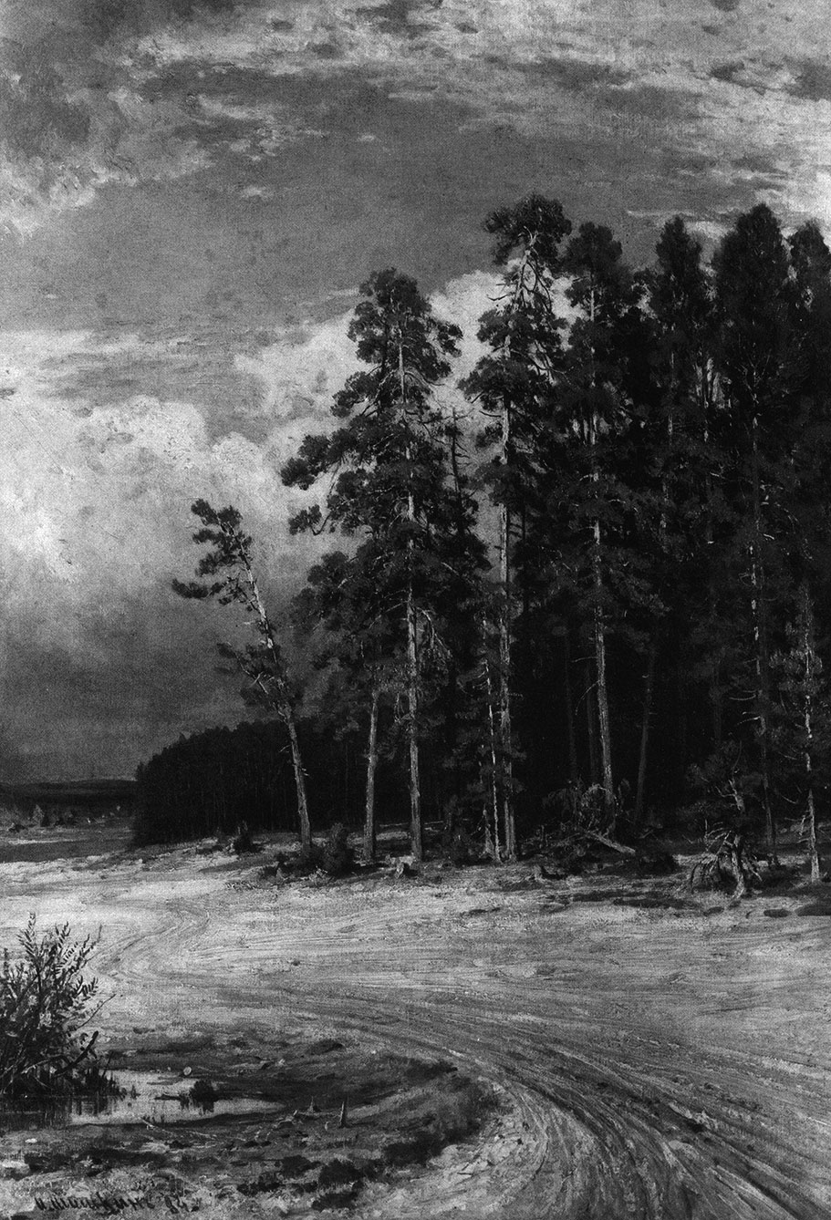 Иван Шишкин тёмный лес 1890