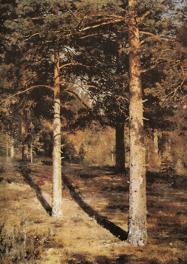 Сосны, освещенные солнцем. 1886