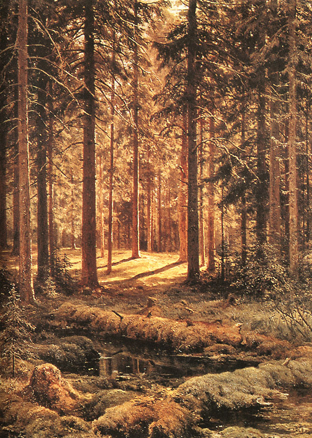 Хвойный лес. Солнечный день. 1895