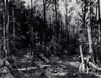 Смешанный лес (Шмецк близ Нарвы). Масло. 1888. ГРМ