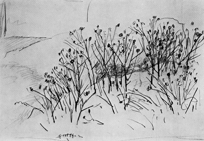 Sketch (Bushes on a slope). 1884 Lead pencil on paper. 15.3X23.4 cm. The Russian Museum, Leningrad