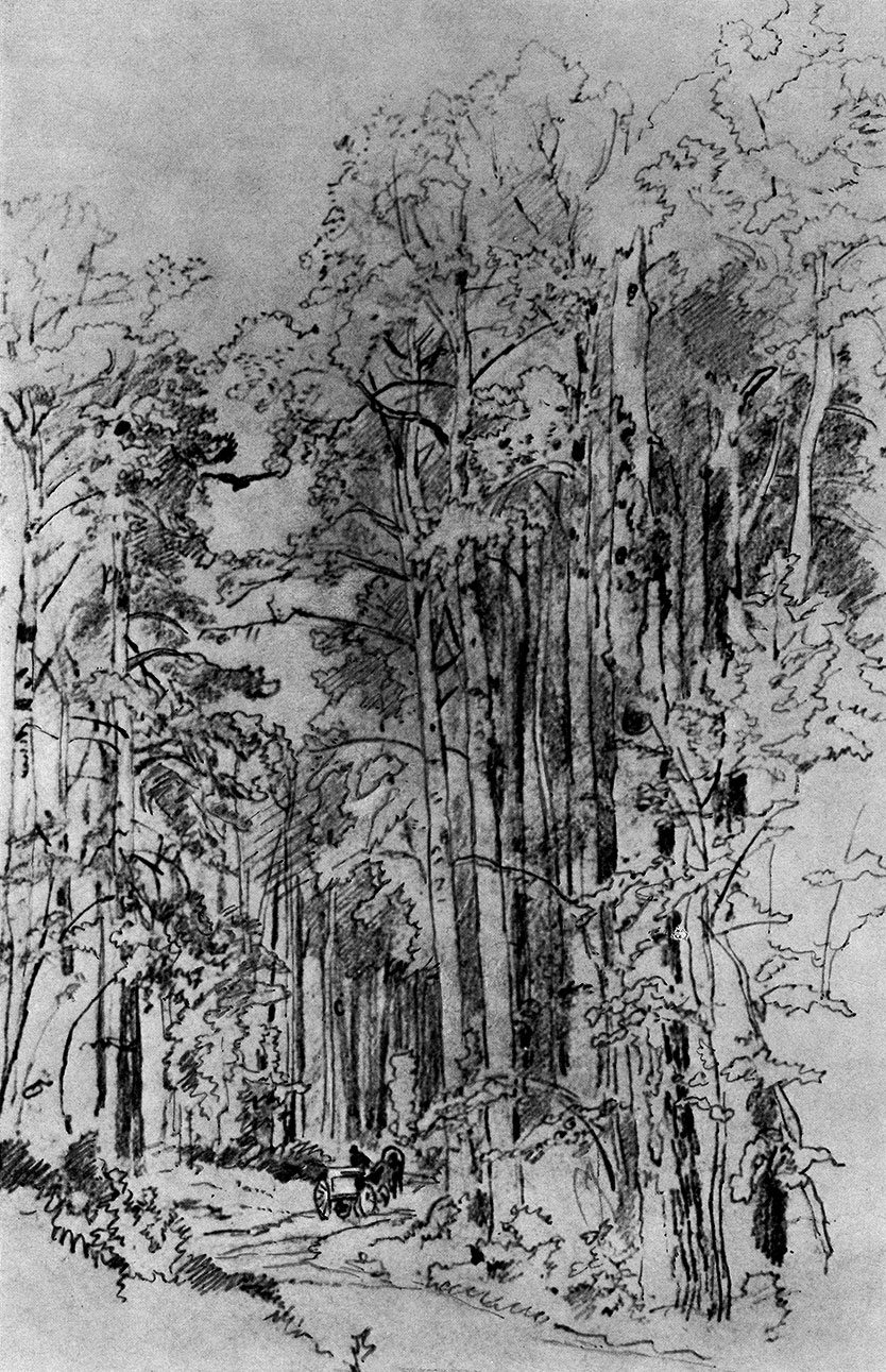 Aspens on the road to the kivach falls. 1889 Lead pencil on paper. 48X32 cm. The Tretyakov Gallery, Moscow