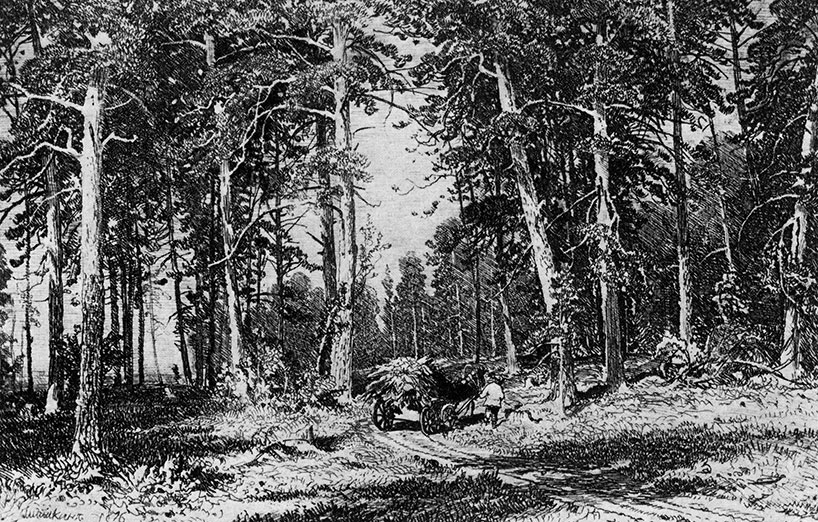 Edge of a pine grove. 1876 Etching. 8.8X13.3 cm