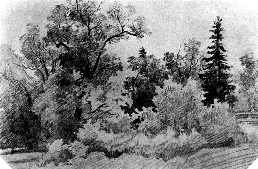 3. Edge of a forest. 1850s Lead pencil on paper. 12.7X19.4 cm The Russian Museum, Leningrad