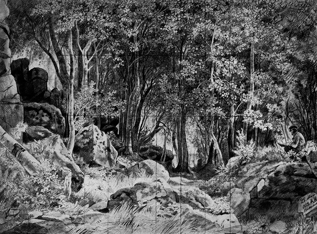 5. Deciduous forest on a rocky shore. Valaam. 1859. Lead pencil on paper. 42.4X57 cm. The Russian Museum, Leningrad