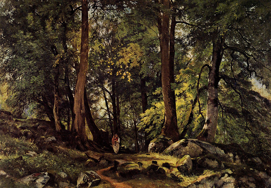 13. Beech forest in Switzerland. 1863. Oil on canvas. 85.5X124 cm. The Russian Museum, Leningrad