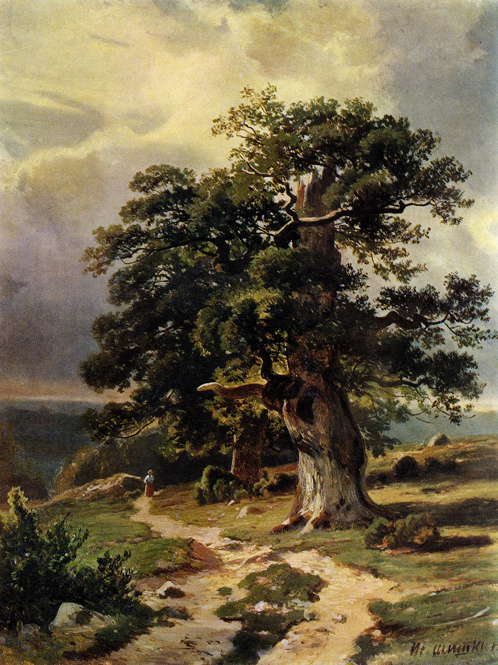 19. Oaks. Study for View in the Vicinity of Dusseldorf (1865). Oil on panel. 41.5X34.5 cm. The Russian Museum, Leningrad