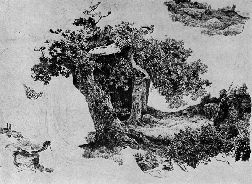 26. Sketch (trees and rocks) Lead pencil, pen and Indian ink on tinted paper. 24.3X32.3 cm. The Russian Museum, Leningrad