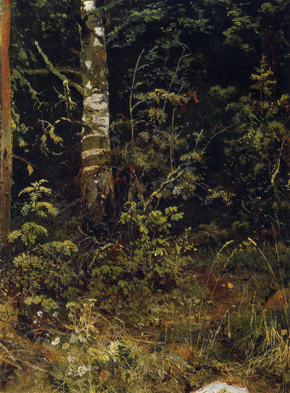 46. Birch-tree and rowans. Study. 1878. Oil on canvas. 38X28.5 cm. The Tretyakov Gallery, Moscow