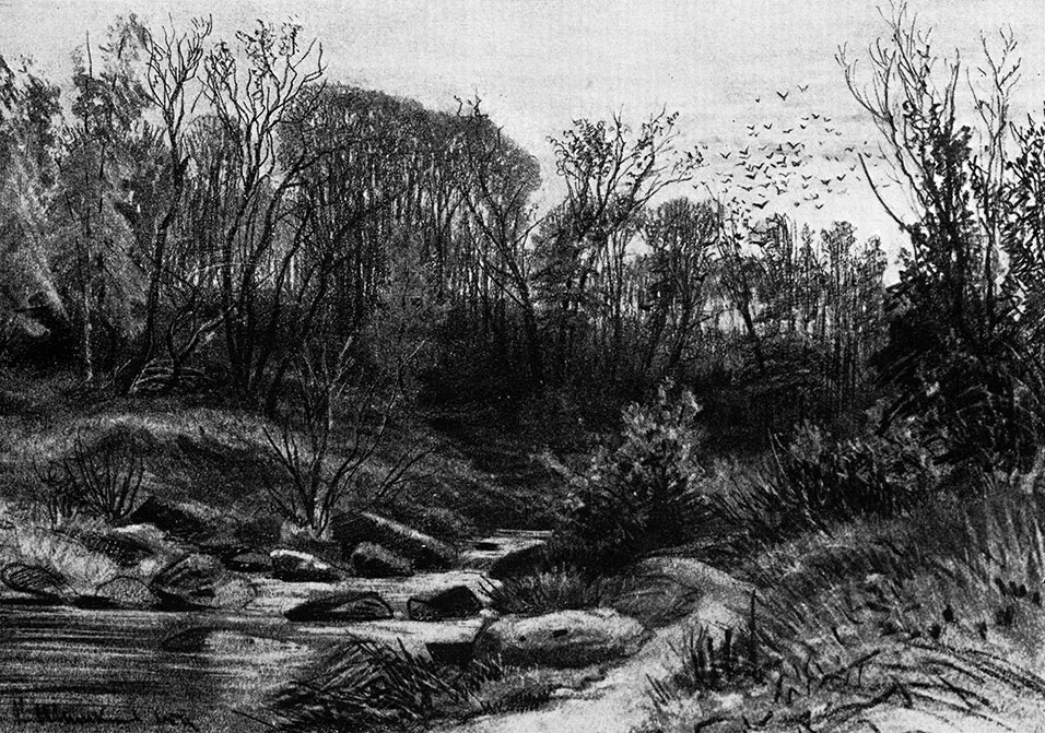 52. Forest stream. Evening. 1871. Sauce, crayons, chalk and white with scratching on paper. 26.6X38.9 cm. The Russian Museum, Leningrad