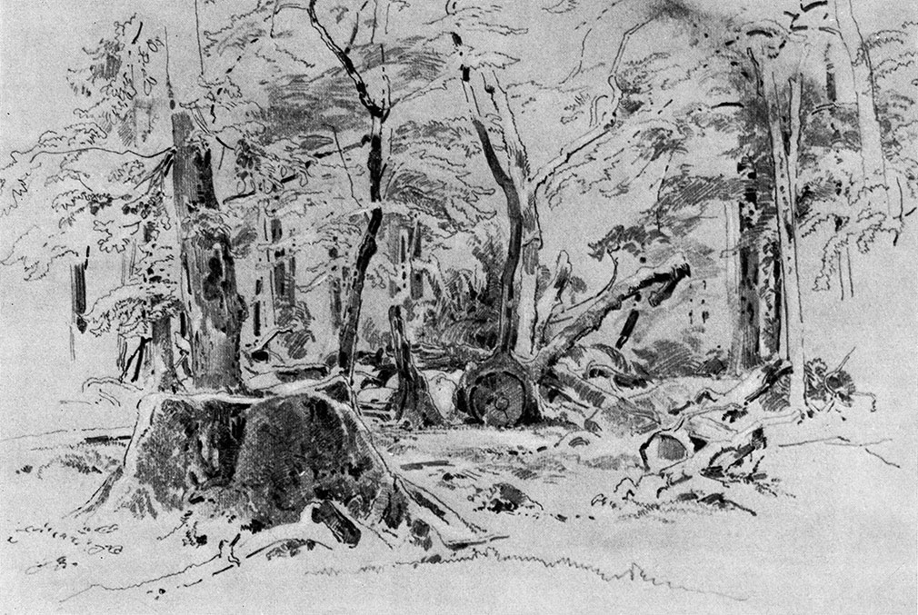 54. Sawn-down tree. 1870s. Lead pencil on paper. 23X32 cm. Museum of Russian Art, Kiev