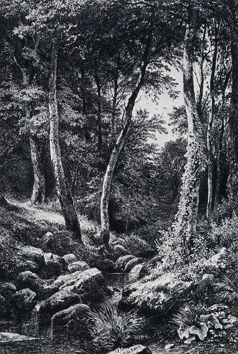 56. Forest stream. 1870. Etching. 20.9X14 cm
