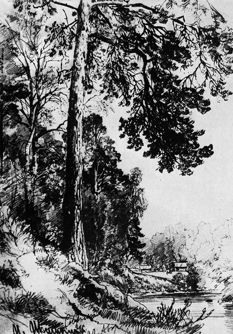 59. Forest stream. Siverskaya. 1876. Lead pencil on paper. 31X22.6 cm. The Tretyakov Gallery, Moscow