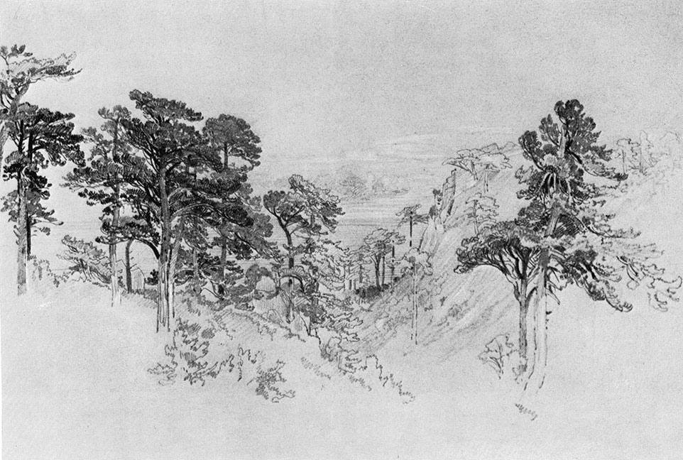 69. Pine-trees by the sea. Alupka. 1879. Lead pencil on paper. 24.6X33.5 cm. Museum of Russian Art, Kiev