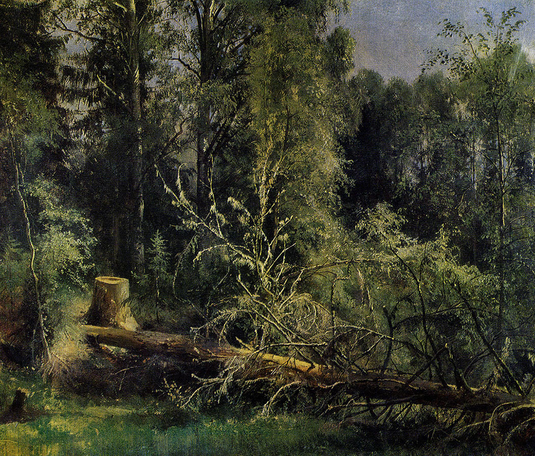 75. Felled tree. 1876. Oil on canvas. 50X60 cm. Museum of Russian Art, Kiev