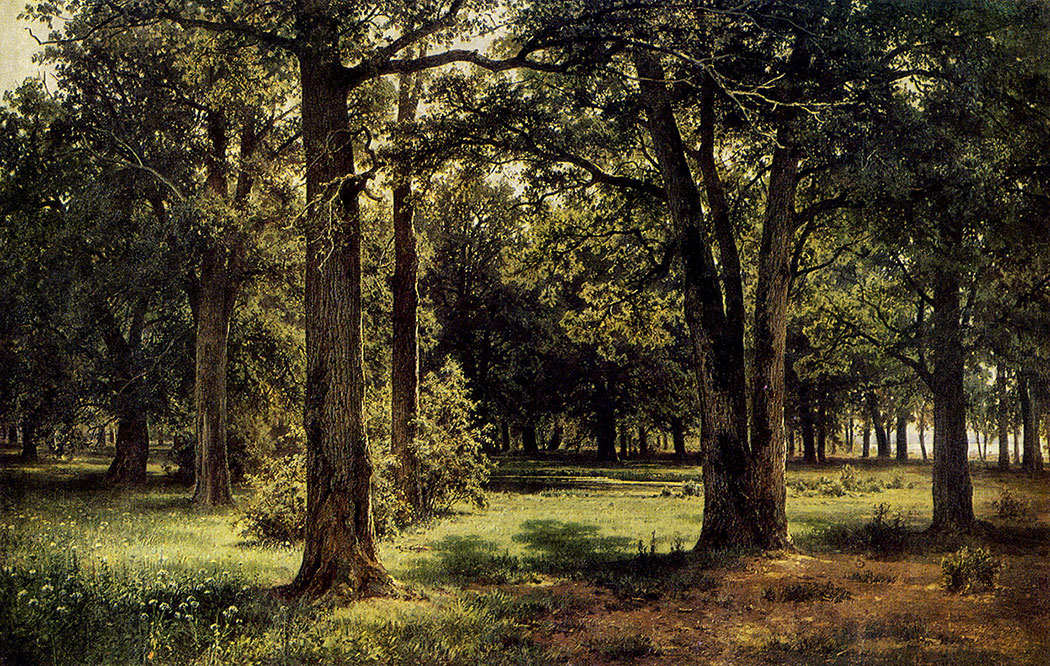 83. Peter the Great's oak grove in Sestroretsk. 1886. Oil on canvas. 127X198 cm. Art Museum of Byelorussia, Minsk