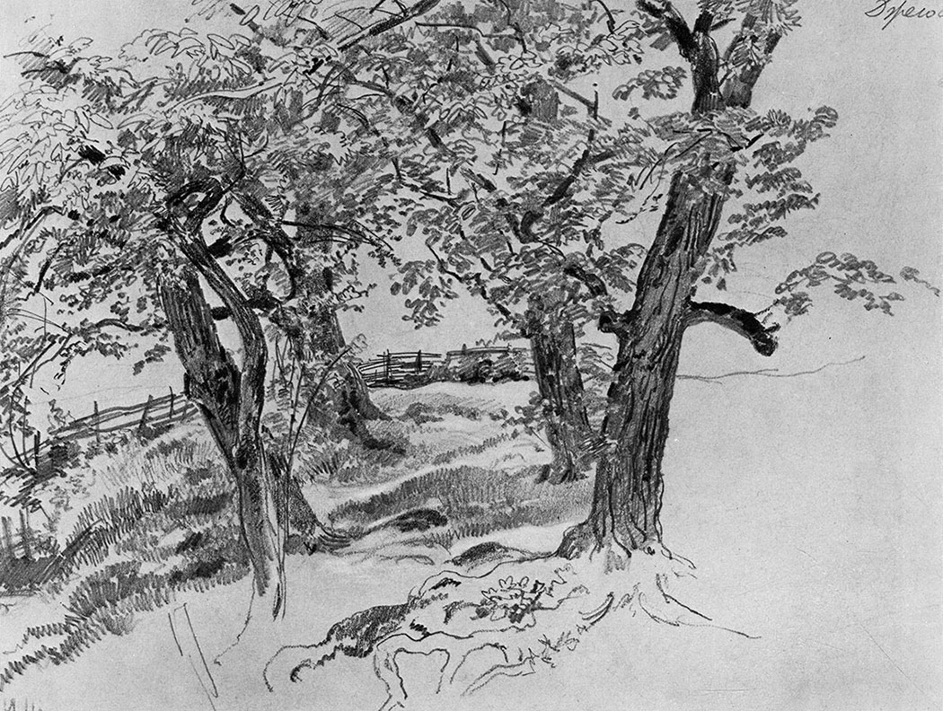 89. Trees. 1870s. Lead pencil on paper. 21.9X28.9 cm. The Tretyakov Gallery, Moscow