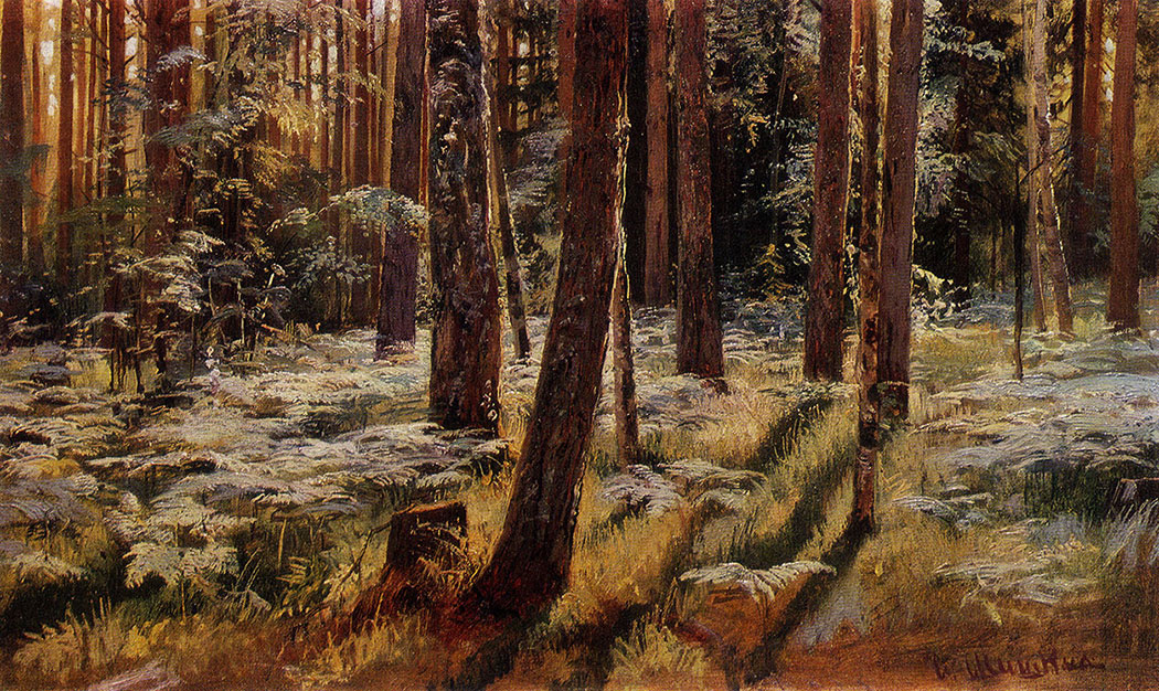94. Ferns in the forest. Siverskaya. Study. 1883. Oil on canvas, mounted on cardboard. 36.2X59.6 cm. The Tretyakov Gallery, Moscow