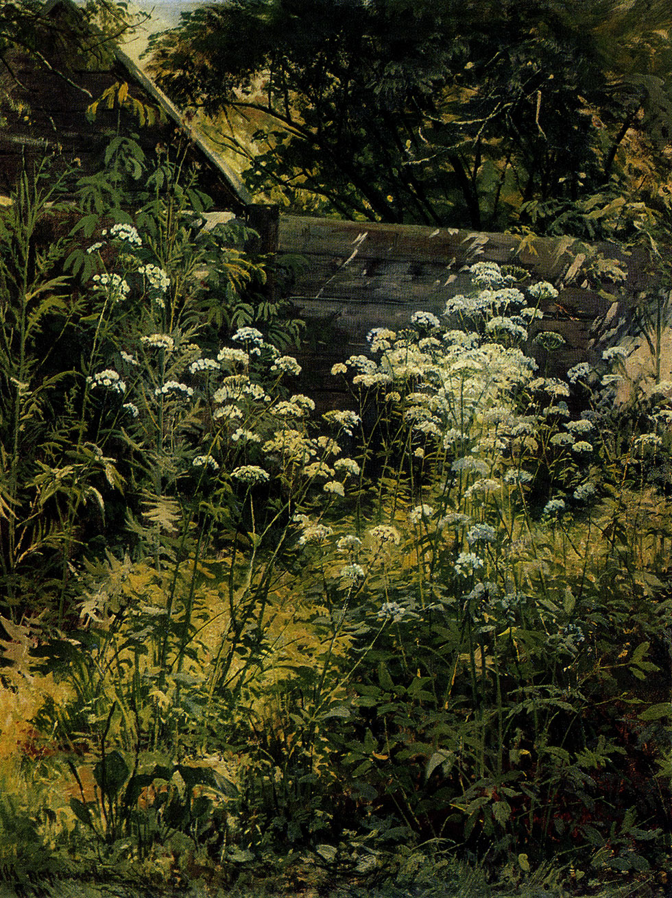 100. Overgrown garden. Goutwort. Study. 1884. Oil on canvas. 54.3X41.7 cm. The Tretyakov Gallery, Moscow