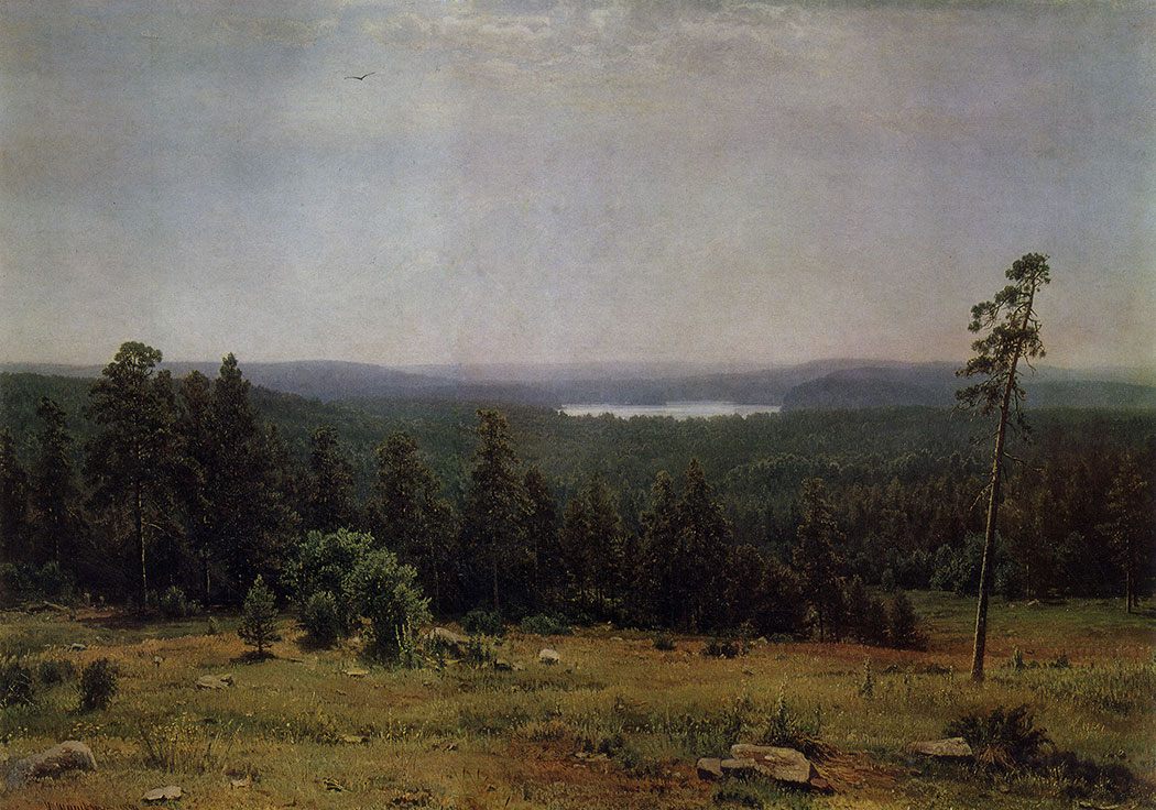 114. Woodland vistas. 1884 Oil on canvas. 112.8X164 cm. The Tretyakov Gallery, Moscow