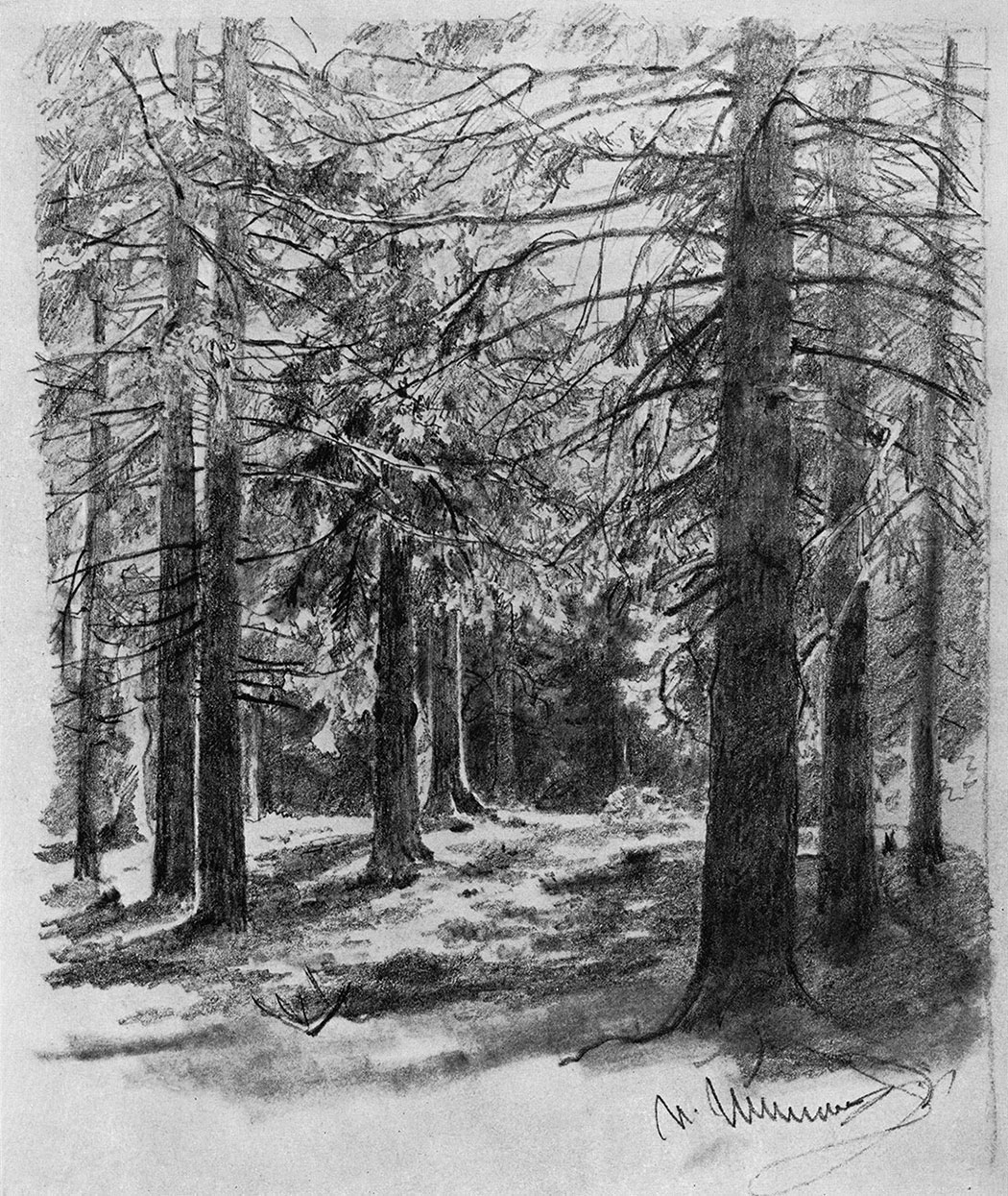 117. Fir-trees lit up by the sun. 1880s. Load pencil on paper. 29.8X23.3 cm. The Tretyakov Gallery, Moscow