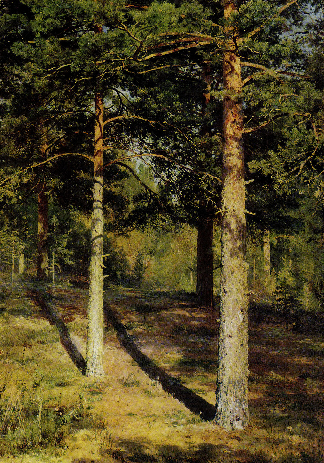 122. Pine-trees lit up by the sun. Study. 1886. Oil on canvas. 102X70.2 cm. The Tretyakov Gallery, Moscow