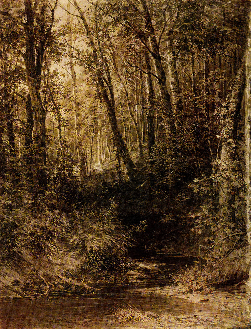 128. Forest stream. 1880s. Sepia, pen and ink with scratching on paper. 66.6X52 cm. The Russian Museum, Leningrad