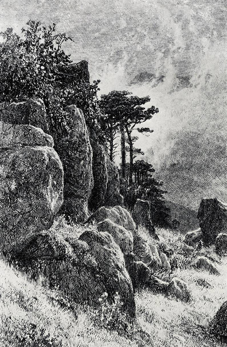 135. Crimean view. 1882. Etching. 20.9X13.6 cm