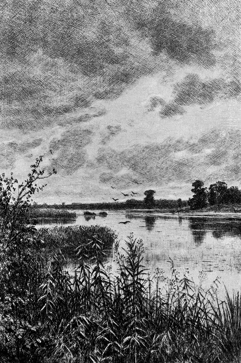 140. The river after the rain. 1887. Etching. 20.3X13.9 cm
