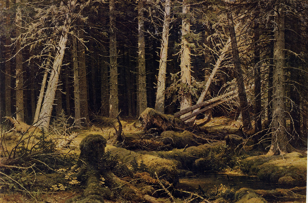 161. Trees felled by the wind (Vologda woods). 1888. Oil on canvas. 139X201 cm. Museum of Russian Art, Kiev