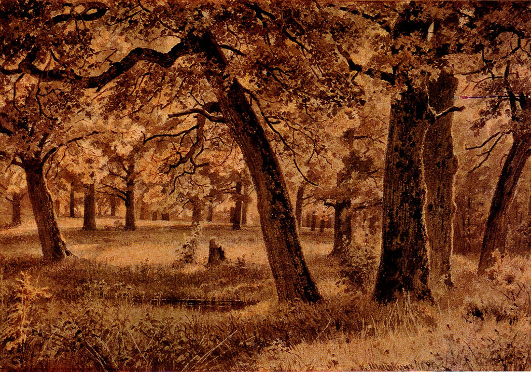 163. Oaks. 1890. Variant of the picture Evening (1890). Sepia on paper, mounted on cardboard. 41.8X61.4 cm. The Russian Museum, Leningrad