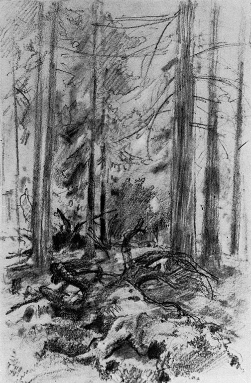 165. Backwoods. Sketch for the similarly entitled picture (1897). Lead pencil and scumbling on tinted paper. 24.3X18.2 cm. The Russian Museum, Leningrad