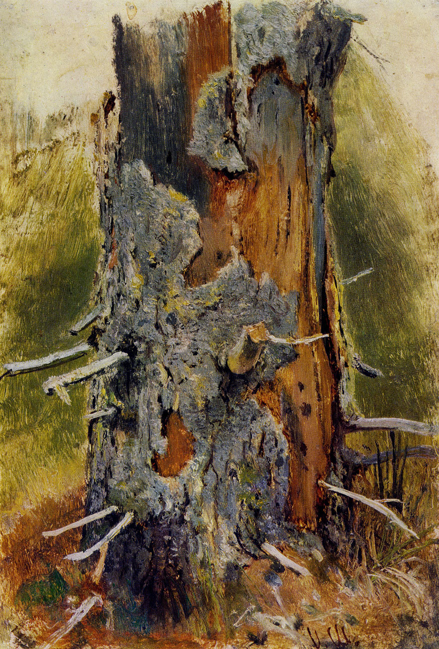 167. The bark of a dead tree-trunk. Study. 1889/90. Oil on cardboard. 26.1X17.9 cm. The Tretyakov Gallery, Moscow