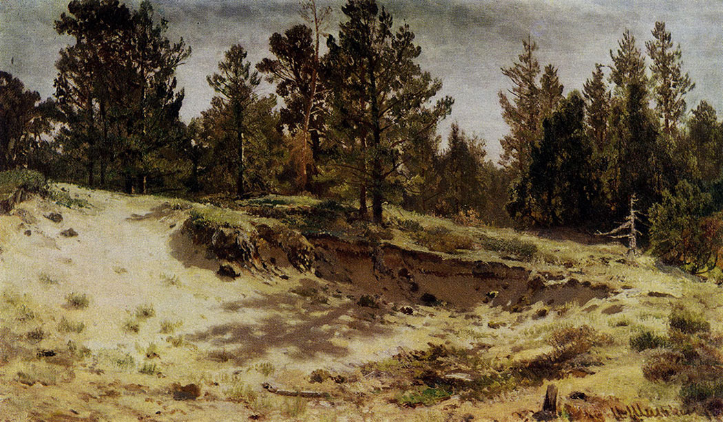 171. Young pines on a sand bluff. Meri-Hovi, Finland railway. Study. 1890. Oil on canvas. 33X59 cm. The Russian Museum, Leningrad