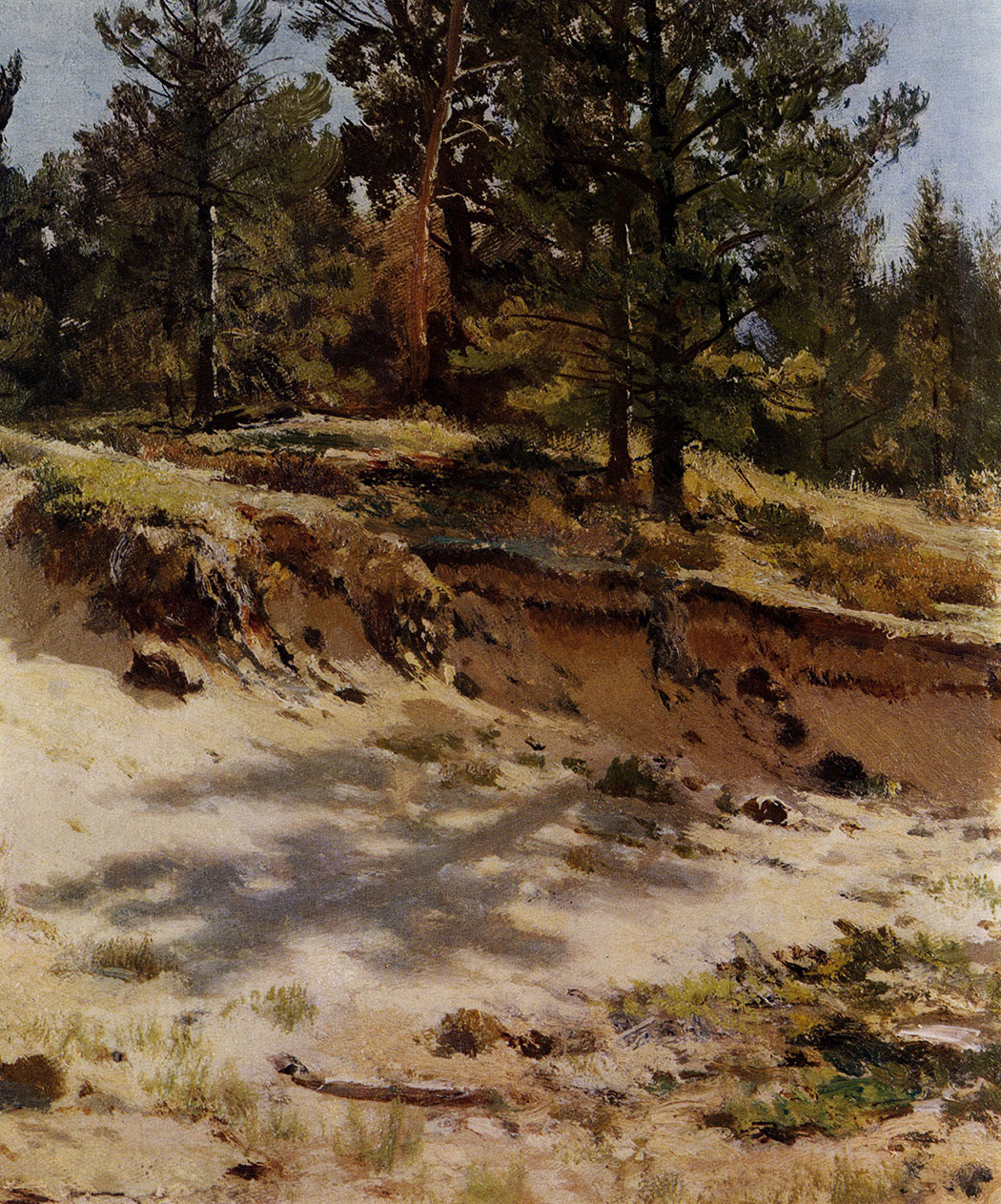 172. Young pines on a sand bluff. Meri-Hovi, Finland railway. Study. 1890. Oil on canvas. 33X59 cm. The Russian Museum, Leningrad