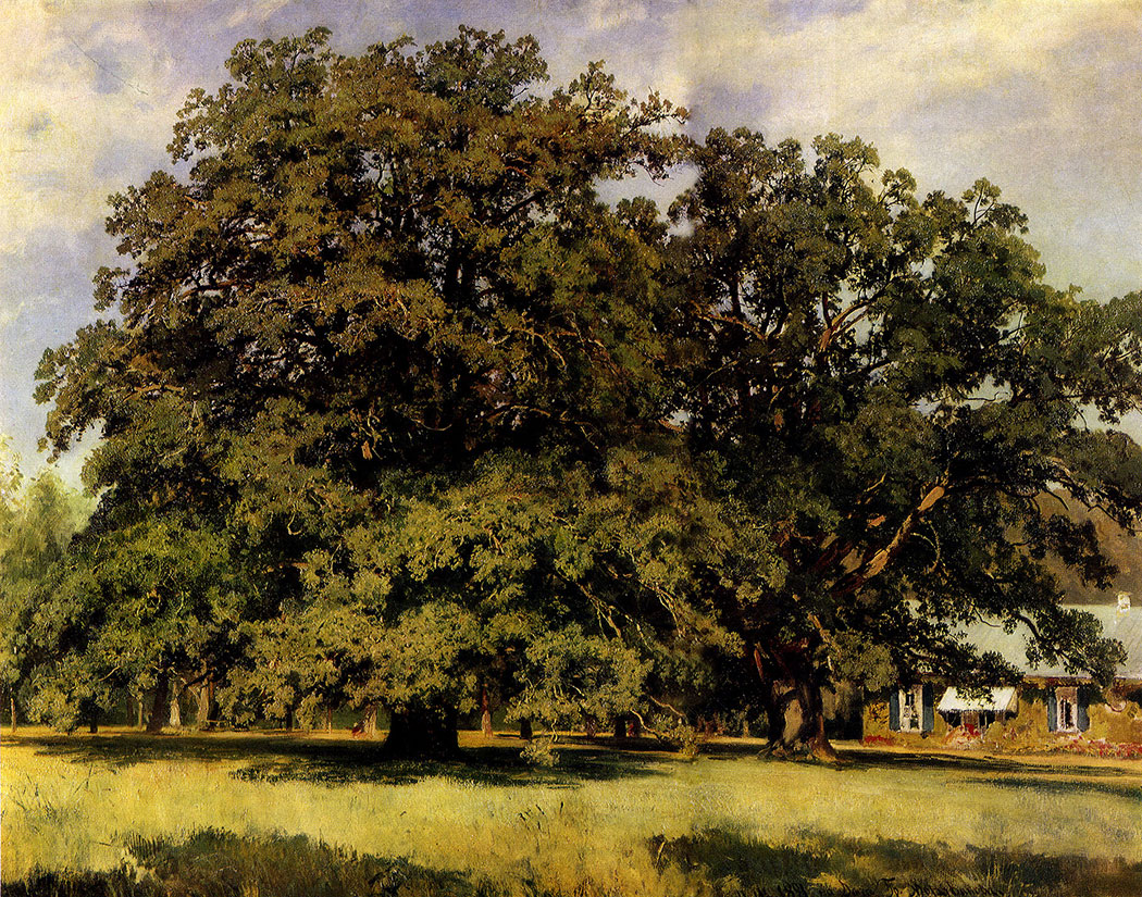 197. The Mordvinovo oaks. 1891. Oil on canvas. 84X111 cm. The Russian Museum, Leningrad