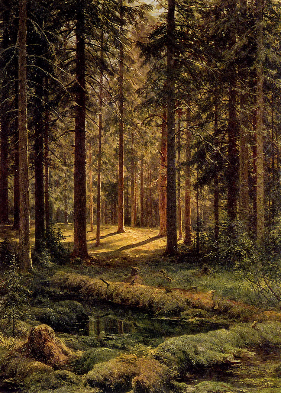 201. Pine forest. Sunny day. 1895. Oil on canvas. 137X103 cm. The Russian Museum, Leningrad