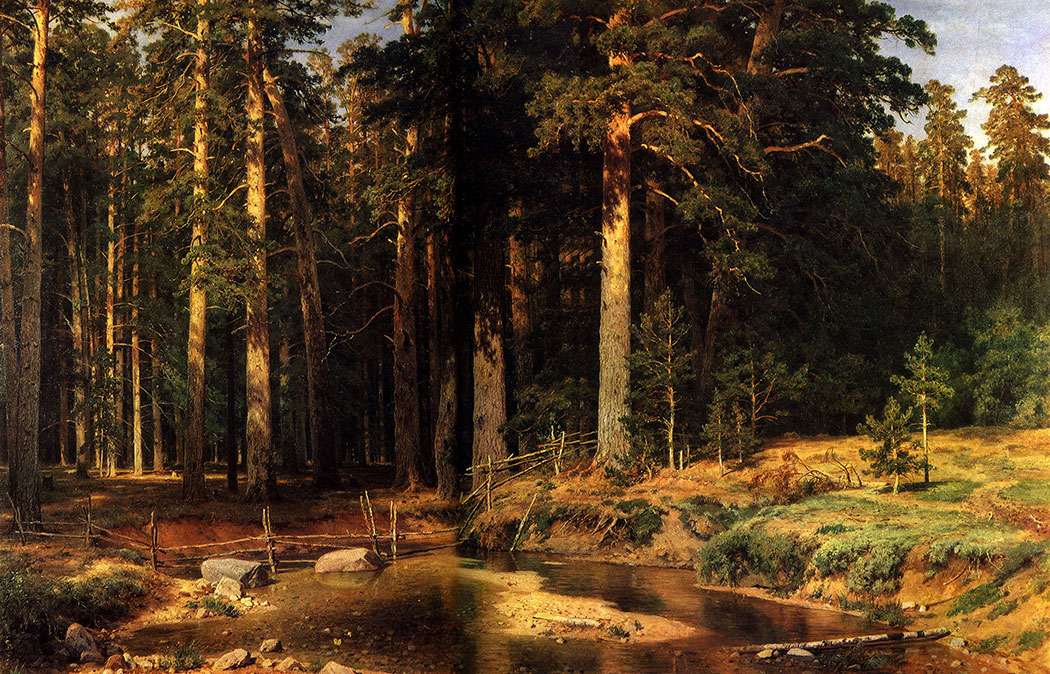 202. Mast-tree grove. 1898. Oil on canvas. 165X252 cm. The Russian Museum, Leningrad