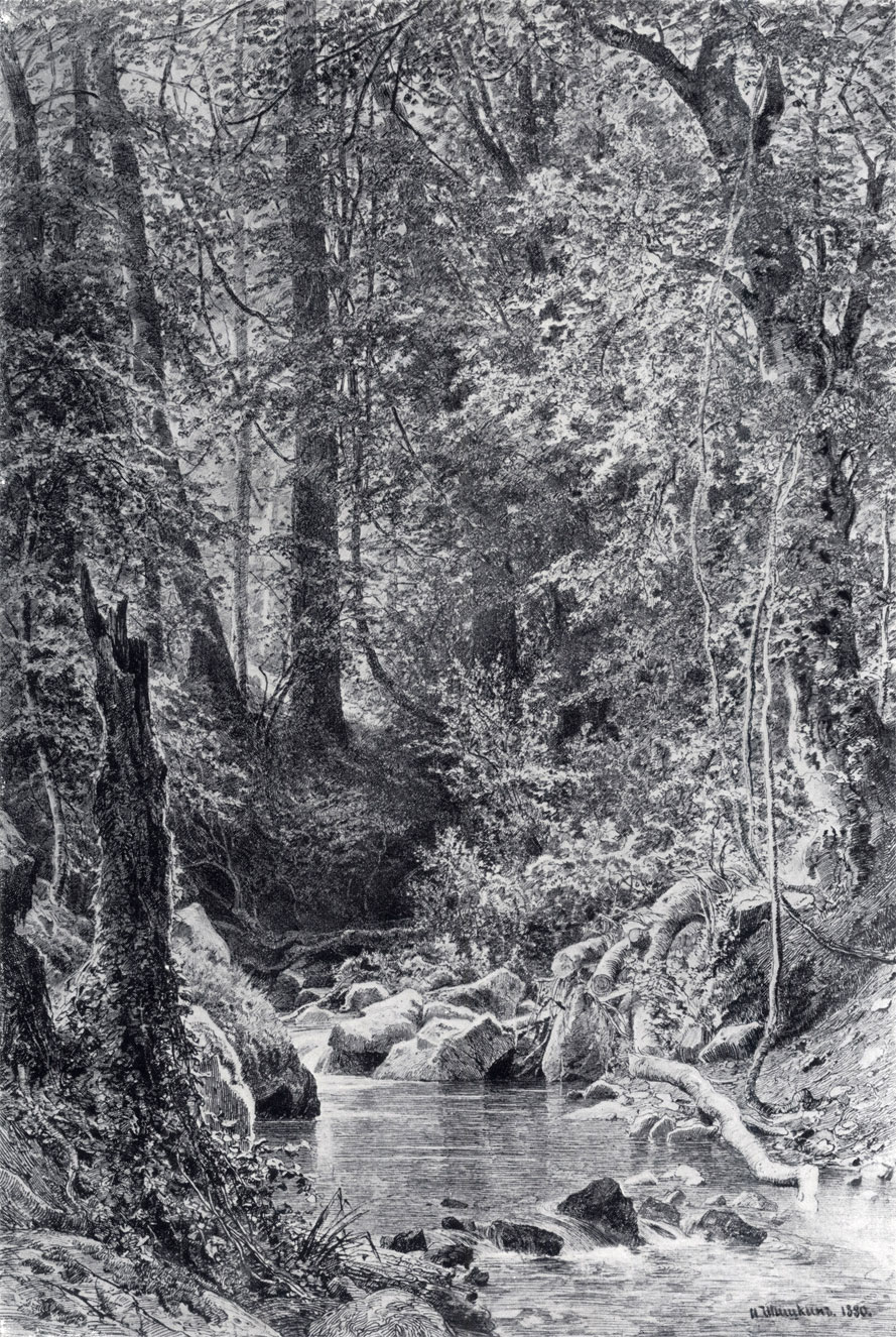 111. ForesT stream. 1880. Pen, ink and white on paper. 77.4x61.4 cm. Museum of Russian Art, Kiev