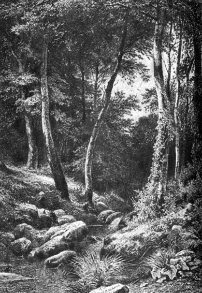 Рис. 6. Ручей в лесу. Офорт. 1870