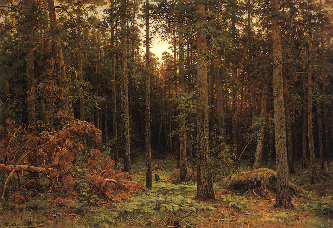 Иван Иванович Шишкин - Сосновый лес