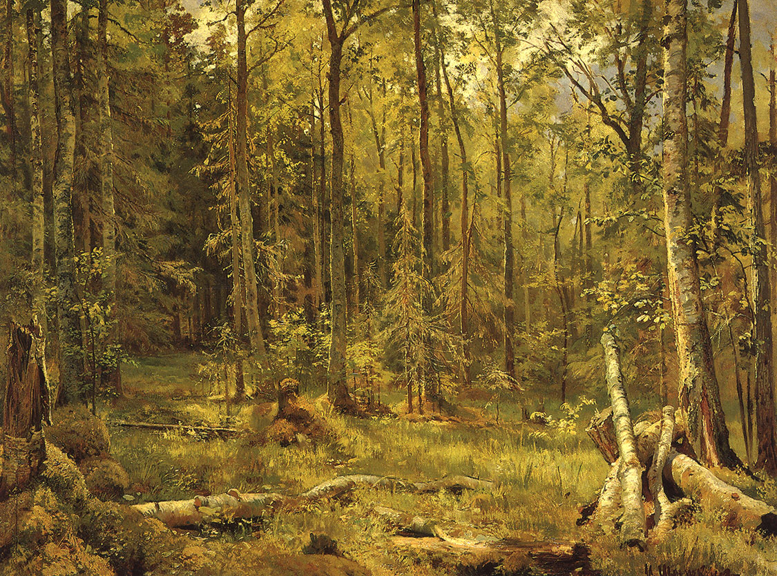 Иван Иванович Шишкин - Смешанный лес (Шмецк близ Нарвы)